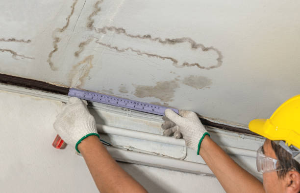 Reliable Water Removal contractor in La Crosse, KS by Water Damage Irwin